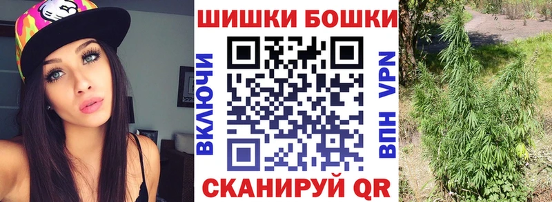 Канабис планчик Кашин